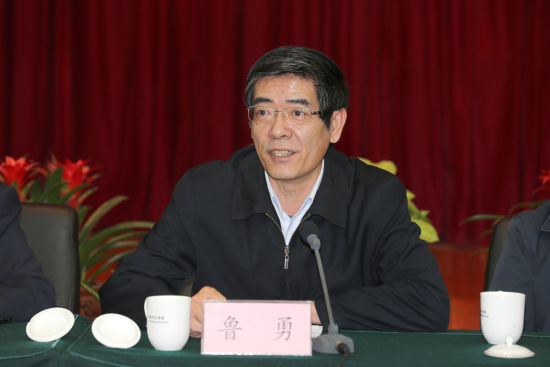 中国残联党组书记、理事长 鲁勇