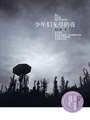 少年们无尽的夜